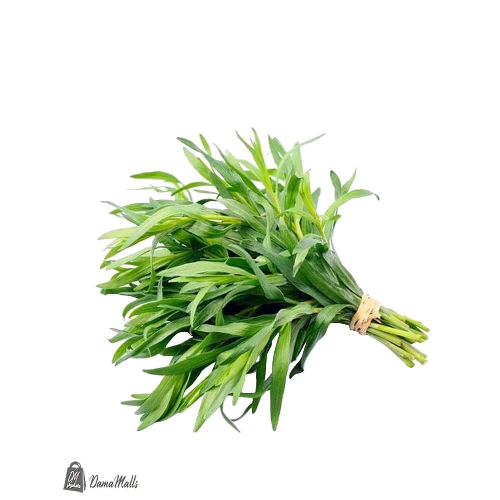 طرخون 