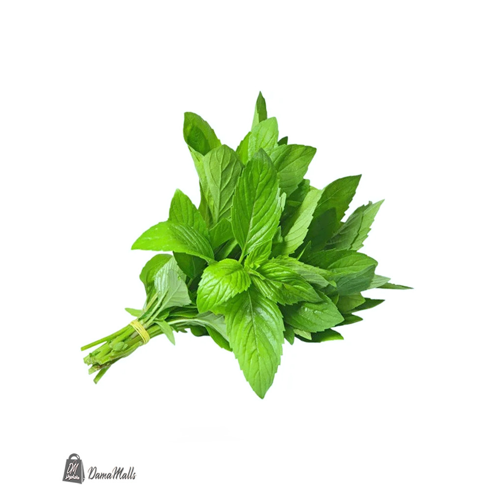 نعنع
